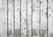 White paint fence wood texture