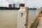 White painted bollards on a quayside in Rotterdam