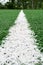 White painted line on artificial green grass of playing field, close-up view