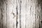 White painted old cracked wood background. Grungy and weathered white grey painted peeling wooden wall plank texture background