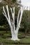 A white painted tree without leaves