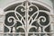 A white painted wrought iron gate with intertwining vines design