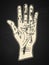 White palmistry hand