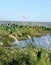 White Pampas grass and flower in the lake