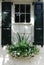 White paned window with black shutters and planter box in Charleston, South Carolina.
