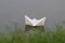 A white paper boat floating in the water with grass defocused in the foreground - childhood concept.