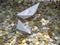 White paper boats in sea made from coins: sailing and sinking.