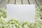 White paper card with closeup white lilac flowers