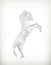 White paper horse