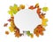 White Paper Piggy Bank Autumn Foliage