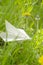 A white paper plane lies in the grass next to a dandelion. Origami plane made of paper in green grass. The symbol of
