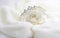 White paper rose princess, Diadem and paper rose in White Fur Coat