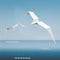 White paper seagulls origami illustration