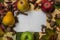 White paper for text, copy space, beautiful fallen leaves, pods, fruits in the background, flat lay fall composition, notebook top