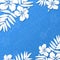 White paper tropical flowers on blue summer