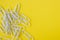 White paperclips on a bright yellow background