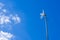 White parabolic grid antenna for home on blue sky