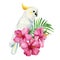 White parrot cockatoo. Palm leaves, hibiscus flower, tropical bird, isolated white background, watercolor jungle design