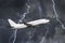 White passenger airplane takes off during a thunderstorm night lightning strike of rain, bad weather.