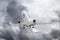 white passenger plane has released its landing gear and is landing against background of grey ominous clouds in heavy weather