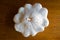 White Pattypan Pumpkin on Oak Floor