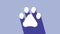 White Paw print icon isolated on purple background. Dog or cat paw print. Animal track. 4K Video motion graphic