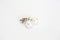 White pearl pieced earrings pair fine jewelry