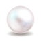 White pearl. Sea pearl isolated on white background. Shiny oyster pearl ball for luxury accessories. Vector illustration