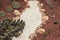 White pebbles path in decorative desert cactus garden