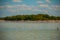 White pelicans is by the river in the national Park Rio Lagartos, Mexico. Yucatan