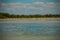 White pelicans by the river, nature reserve of Rio Lagartos, Mexico. Yucatan