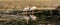 White pelicans standing on a tree trunk in a lake