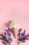 White peony flower in waffle cone on pink background and purple aconitum. Summer concept.