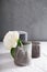 White peony in gray handmade cup