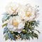 White Peony Watercolor Painting On White Background For Photoshop