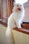 White persian cat standing by the window