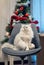 White persian chinchilla cat in front of a Christmas tree