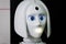 White personal robot looks like a human.Beautiful cyborg female face on the dark black background