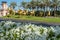 White petunias on the background of golden horses, palm trees and the Burj Al Arab hotel