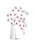 White phalaenopsis orchid in white vase