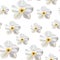 White Phalaenopsis Orchids seamless pattern