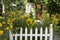 White Picket Fence