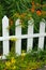 White Picket Fence with Orange and Yellow Flowers