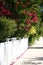 White Picket Fence and Side Walk