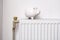 White pig piggy bank on radiator. Expensive heating costs concept