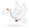 White pigeon flying with envelope mail message