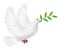 White pigeon flying with leaf concept peace