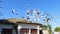 White pigeons fly circling over the rooftops of Cape Town.