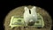 A white piggy bank and dollar bills spins on a black background.