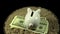 A white piggy bank and dollar bills spins on a black background.